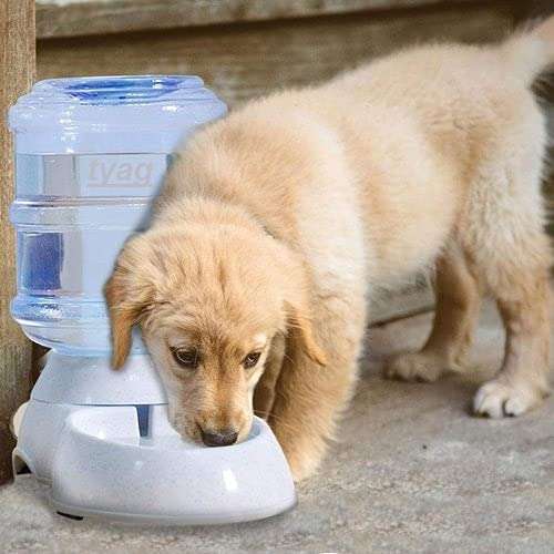 Automatic Pet Water Food Dispenser 3.5L Large Capacity Self-Dispensing Gravity Feeder Water Cat Feeding Bowl Drinking Water/Automatic Feeding Pet Supplies, Multicolor - Mr Urban Choices