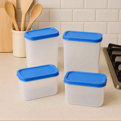 Apex Glory Plastic Storage Container Box Set (4 Pc)