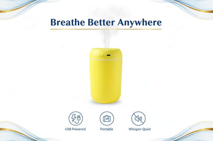 Portable USB Powered Mini Air Humidifier - Mr Urban Choices