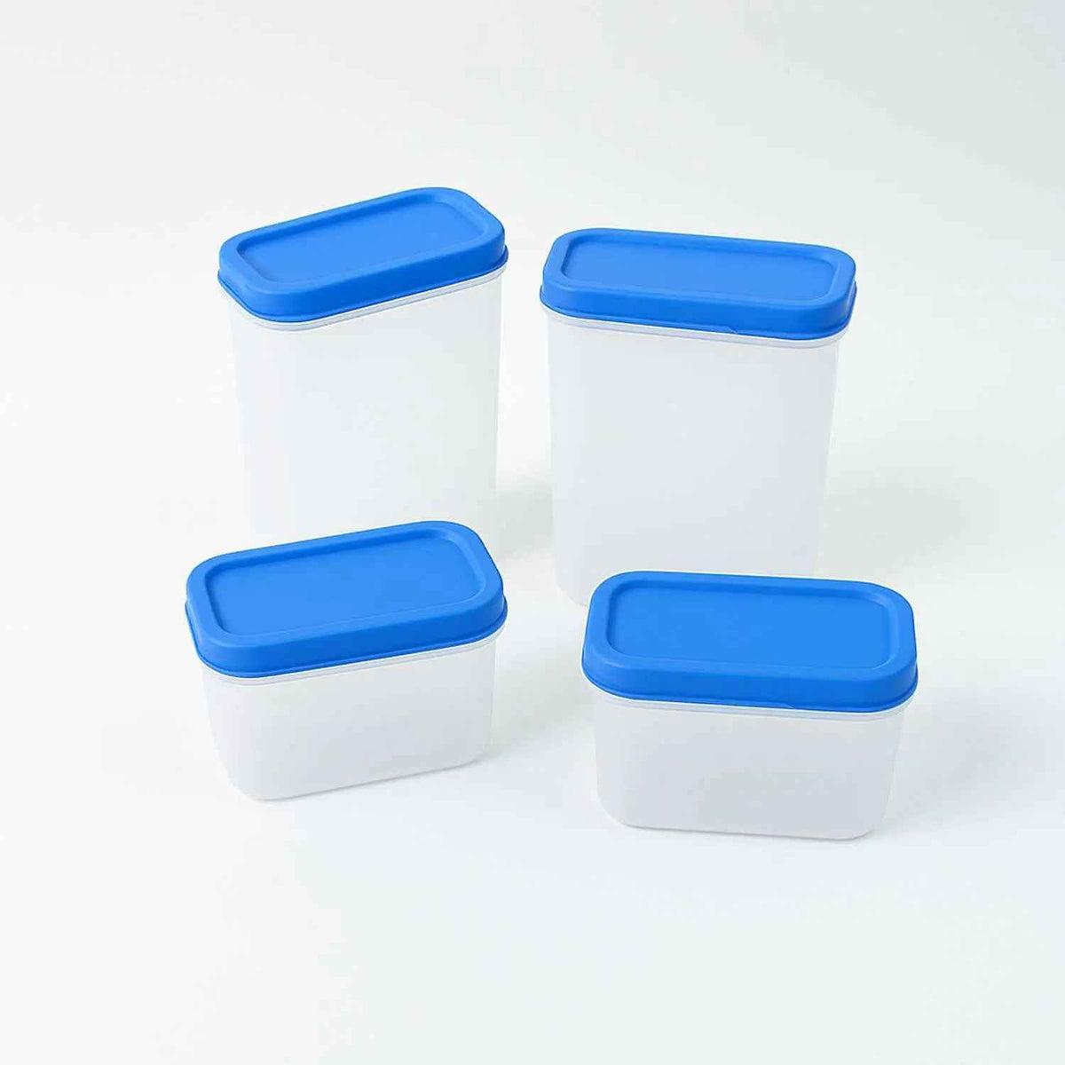 Apex Glory Plastic Storage Container Box Set (4 Pc)