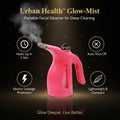 1261 Facial Handheld Portable Steamer For Face