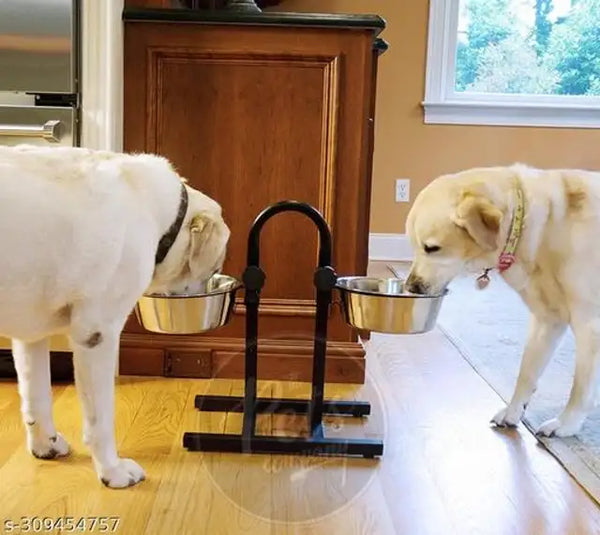 Stainless Steel Feeding Bowls for Pet (Multicolor) - Mr Urban Choices