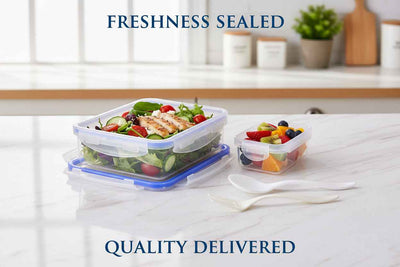 Urban Fresh™ 4-Way Lock Series – Premium Airtight Lunch Box with Small Square Divider - Mr Urban Choices