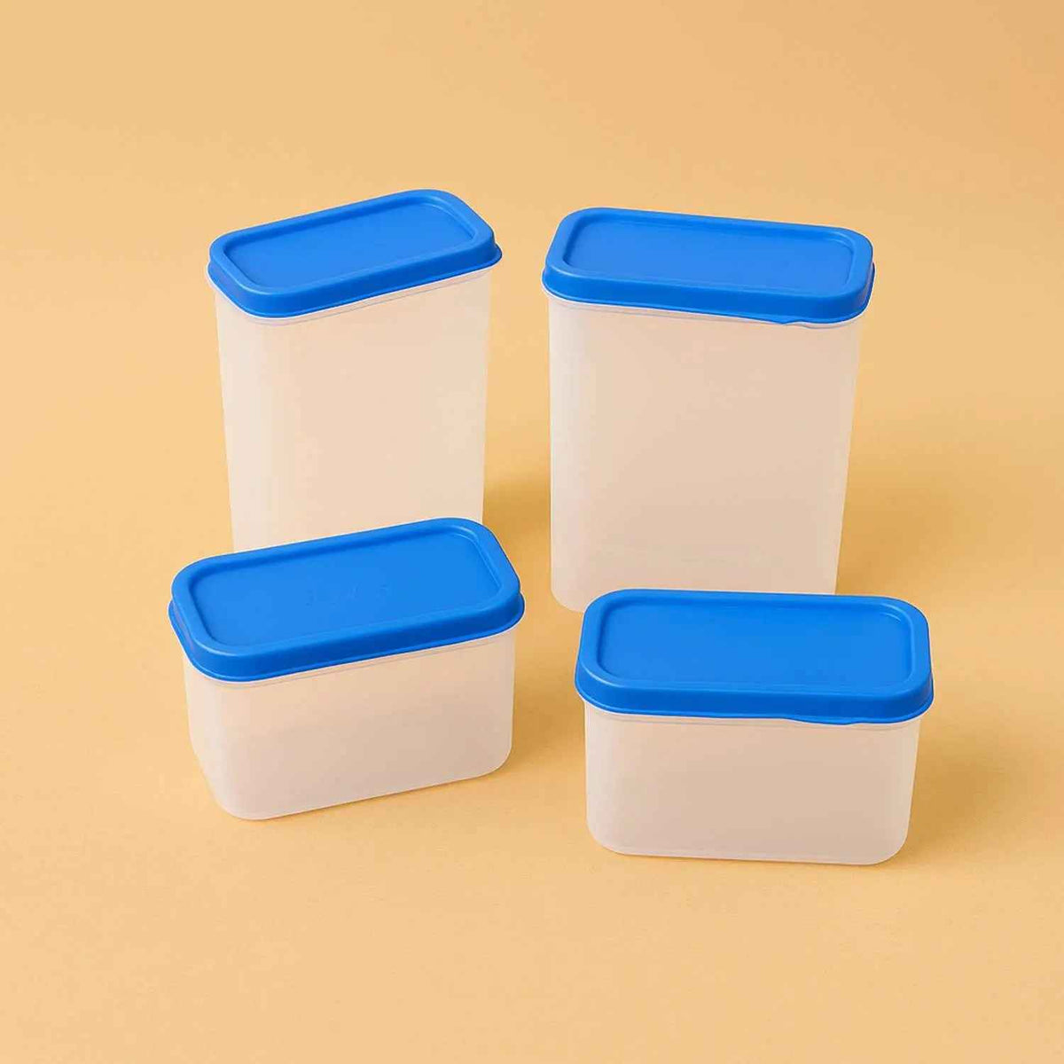 Apex Glory Plastic Storage Container Box Set (4 Pc)